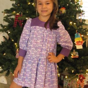 Spencer dress w/sleeves Purple Dragonflies size 5